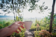 A serene morning scene with a person enjoying coffee outdoors.