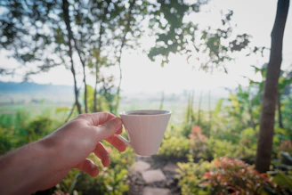 A hand holding a Frostveil insulated cup outdoors on a sunny day.