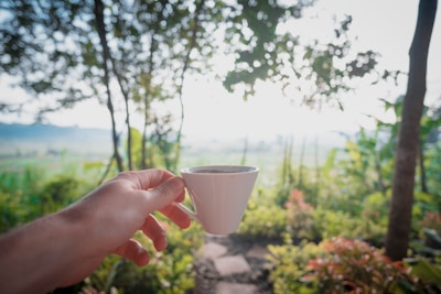 Hands holding a warm cup of organic coffee outdoors surrounded by green leaves.