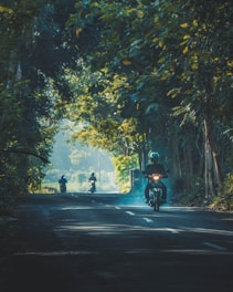 person riding on motorcycle on road between trees