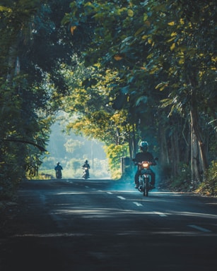 person riding on motorcycle on road between trees