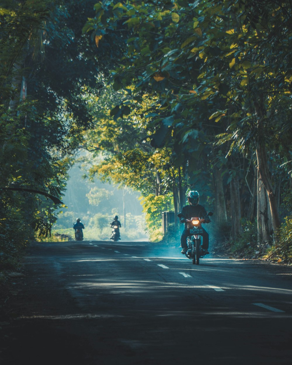 person riding on motorcycle on road between trees