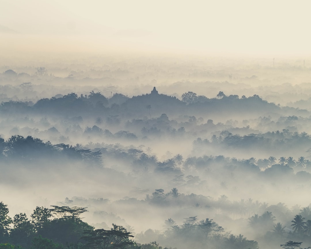 Hill station photo spot Borobudur Kulon Progo