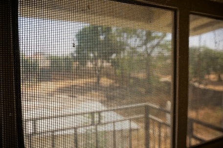A view through a window screen showing an outdoor scene with blurred trees and landscape. The mesh of the screen creates a grid-like pattern, with the light filtering through it.