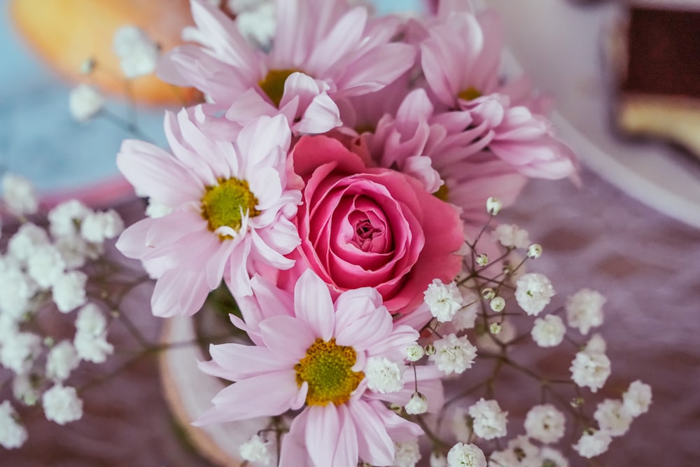 closeup photography of pink rose