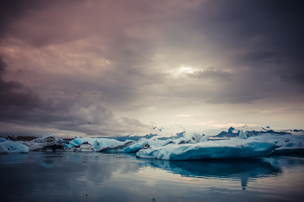 Snow islands near body of water 사진