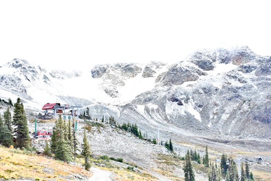 pine trees near mountain covered with snow in Whistler Mountain Canada