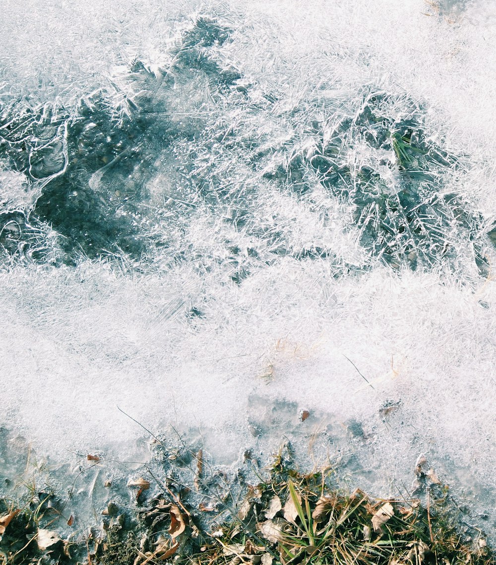 rippling body of water