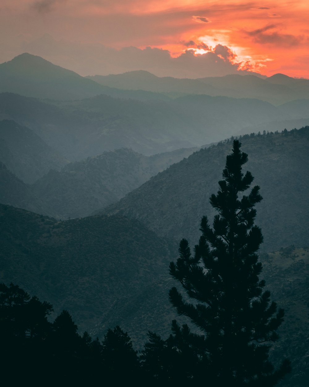 fog covered mountains