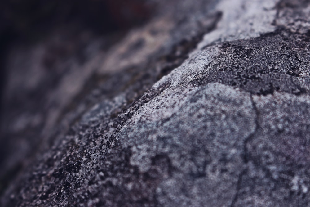 closeup photo of grey pavement