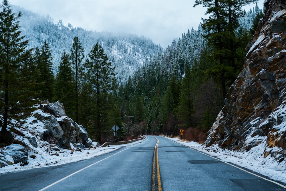 gray road pavement in between mountain and trees