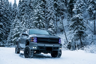 gray pickup truck on snow field surrounded by trees