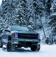 gray pickup truck on snow field surrounded by trees