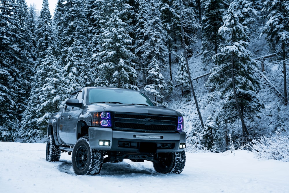 grauer Pickup auf Schneefeld, umgeben von Bäumen