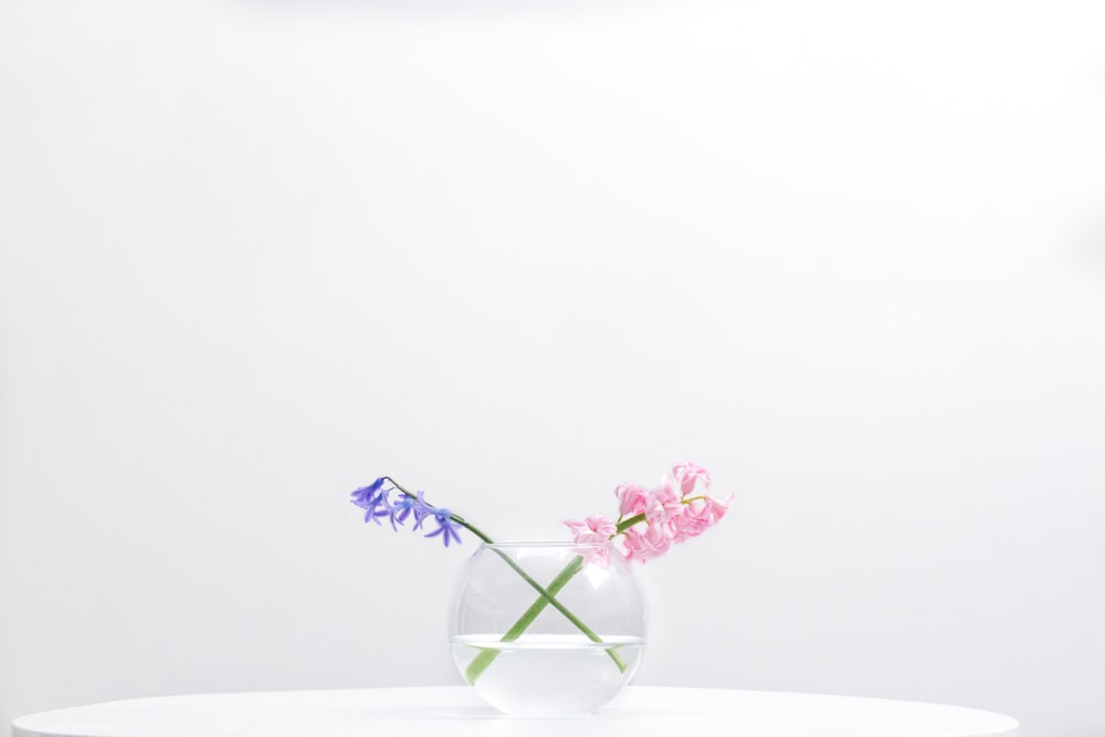 zwei lila und rosafarbene Blütenblätter in klarer Glasschale