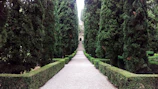 Pathway through the garden leading to the outdoor pool surrounded by cypress trees.