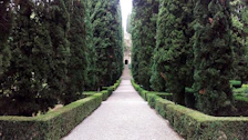 Pathway through the garden leading to the outdoor pool surrounded by cypress trees.