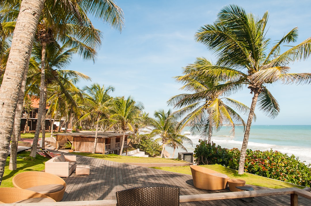 palm trees near ocean under sunny sky, Venezuela