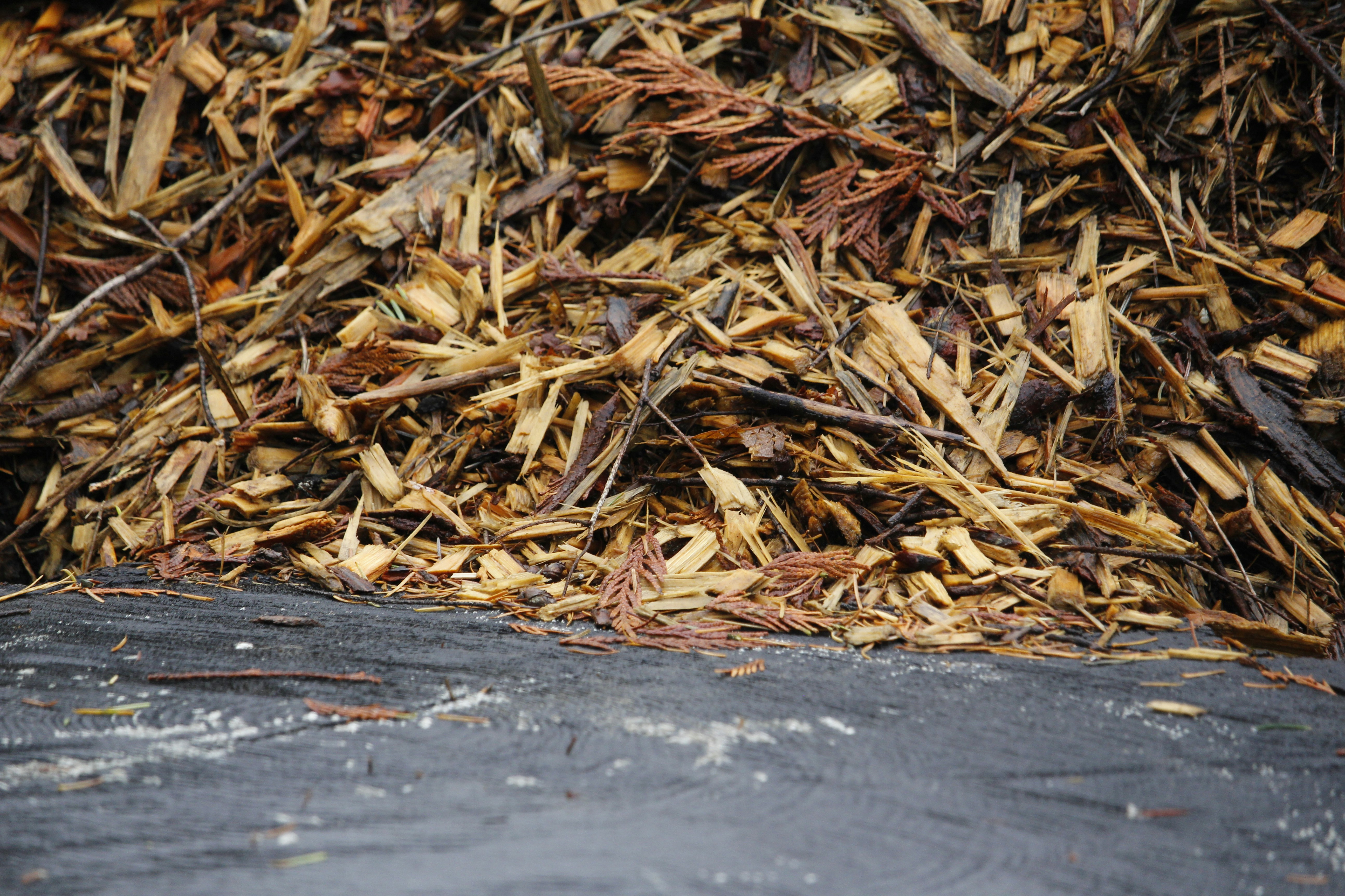 Photo by jaspergarrattphotography