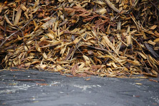 A sturdy dump truck unloading rich, fresh hardwood mulch onto a neat flower bed in a sunny suburban yard.