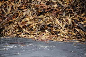 A close-up of a pile of fresh mulch ready for delivery.
