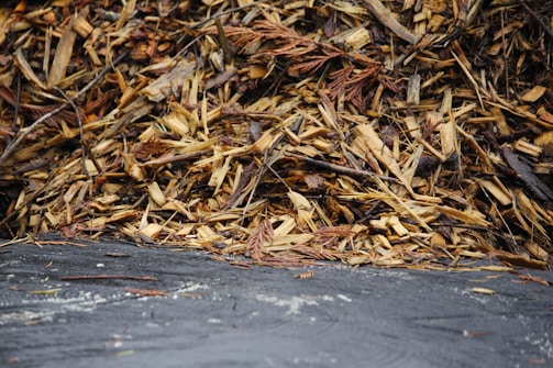 A pile of freshly mulched trees and shrubs.