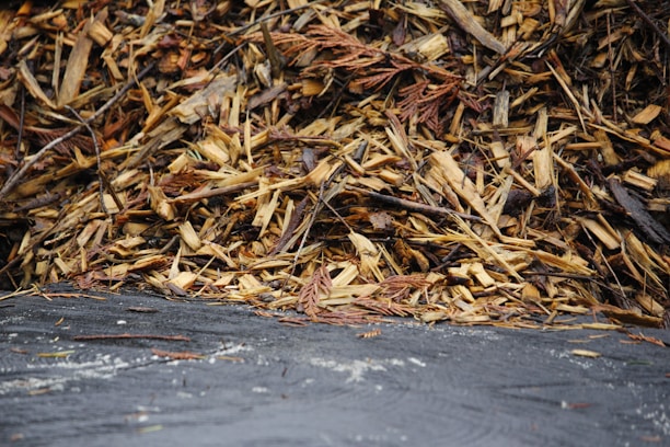 Close-up of rich, freshly shredded hardwood bark mulch piled high.