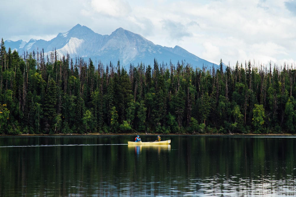 two people in yellow boat sailing near pine trees during daytime