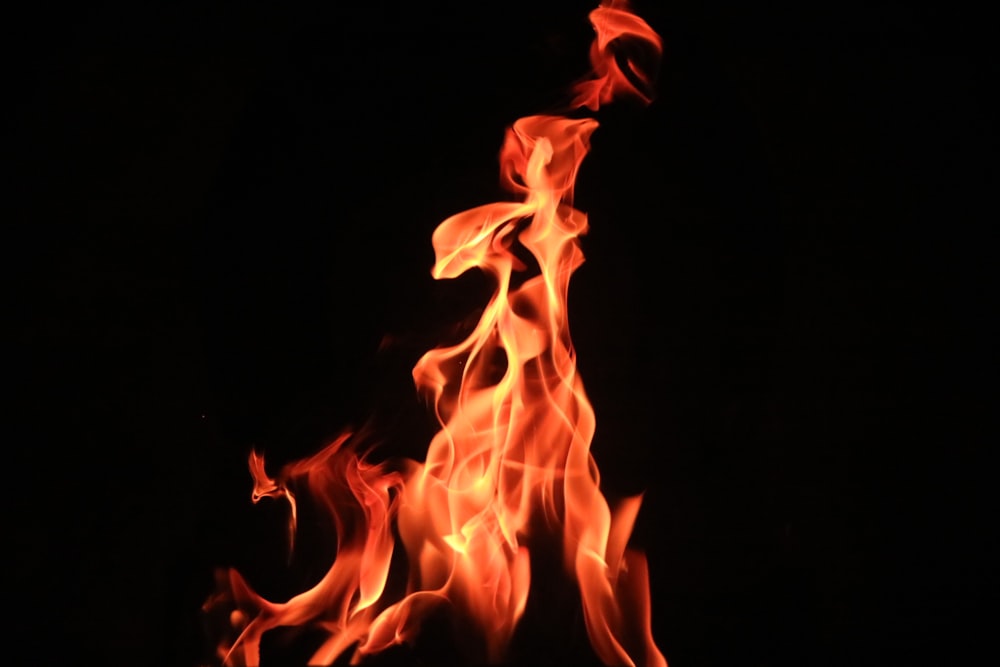 time lapse photography of fire