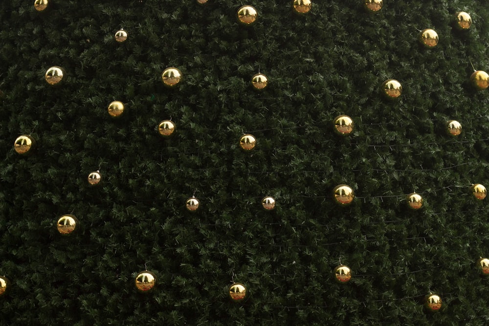 a close up of a green wall with gold balls on it