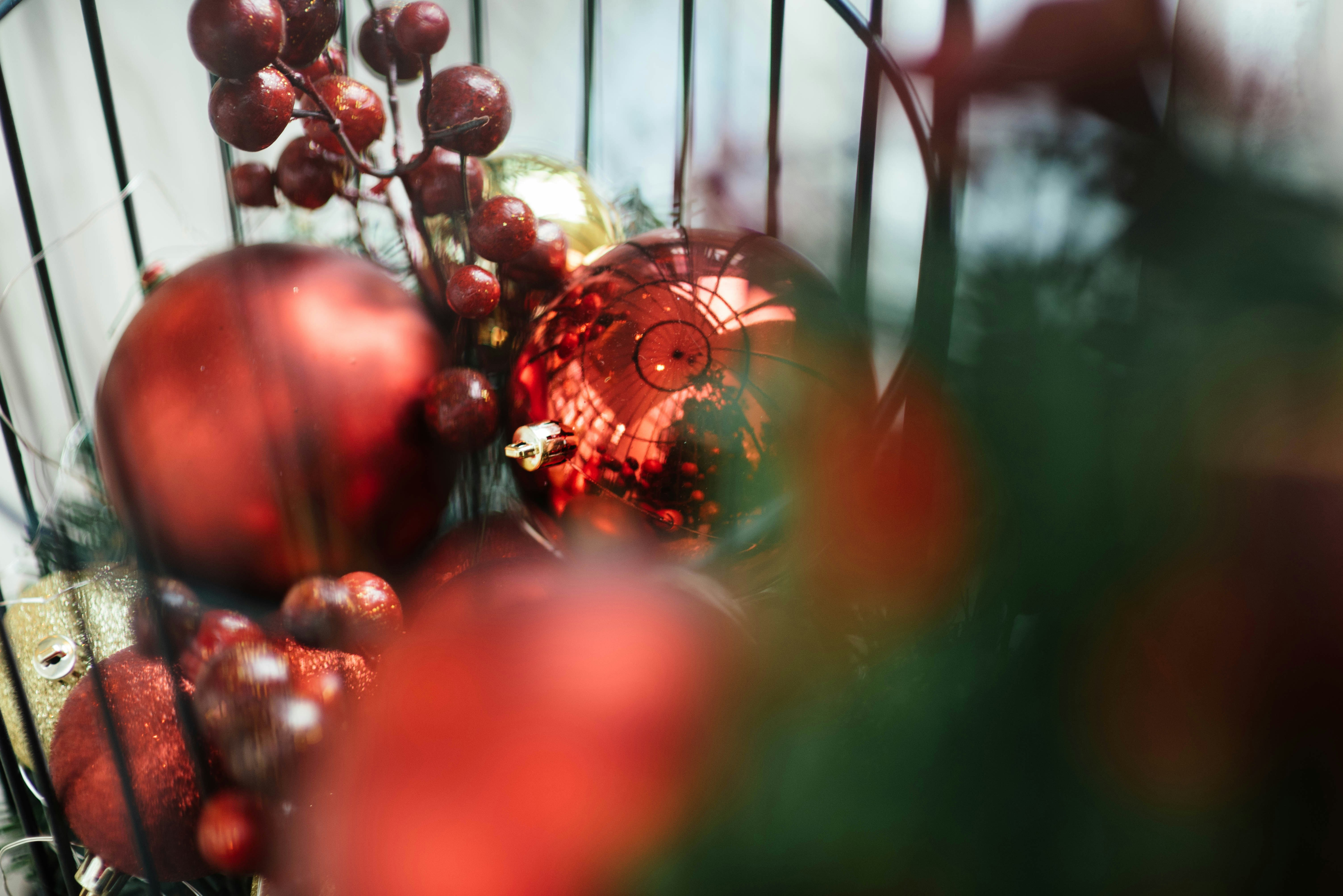 Photo by chuttersnap