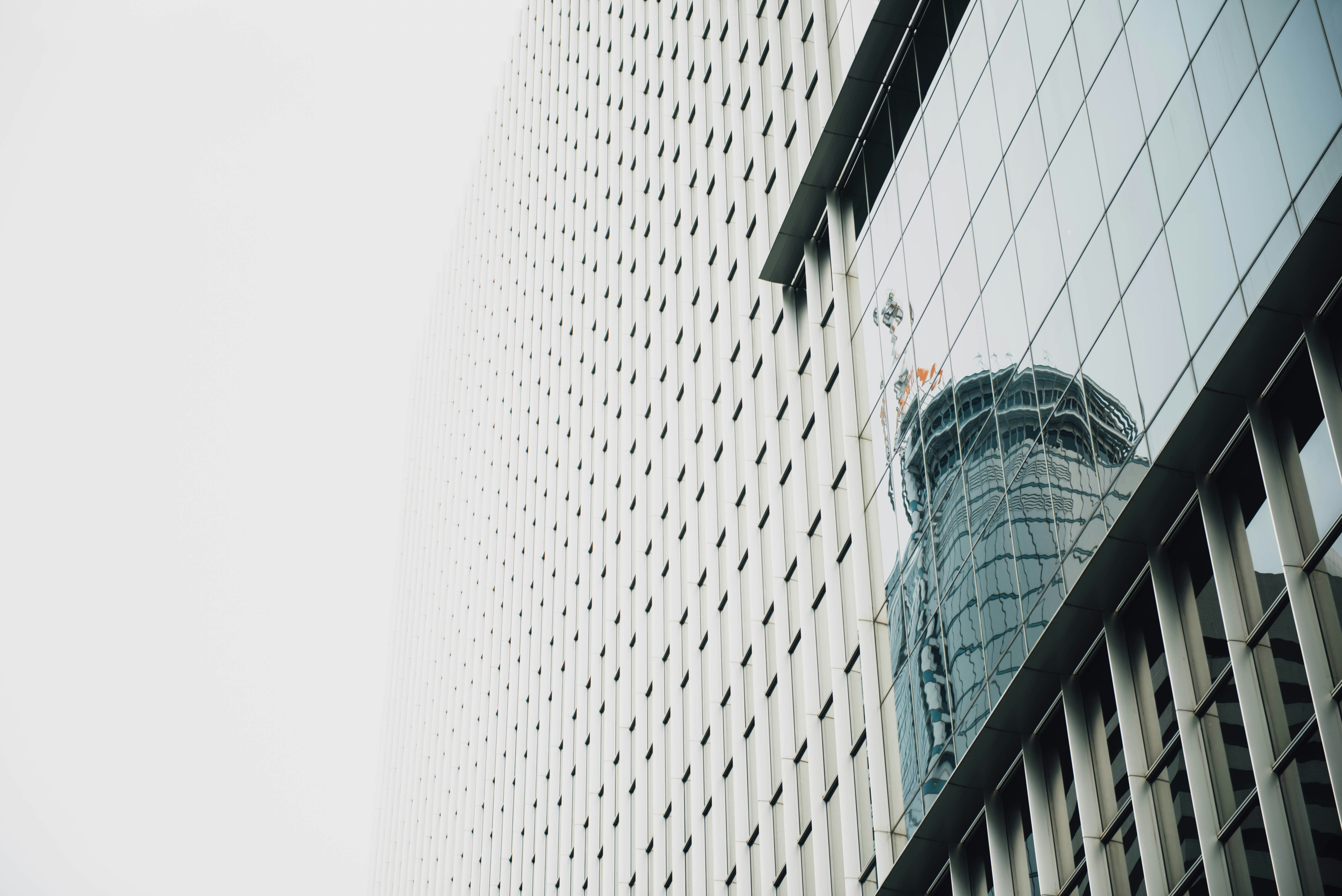 Photo by chuttersnap