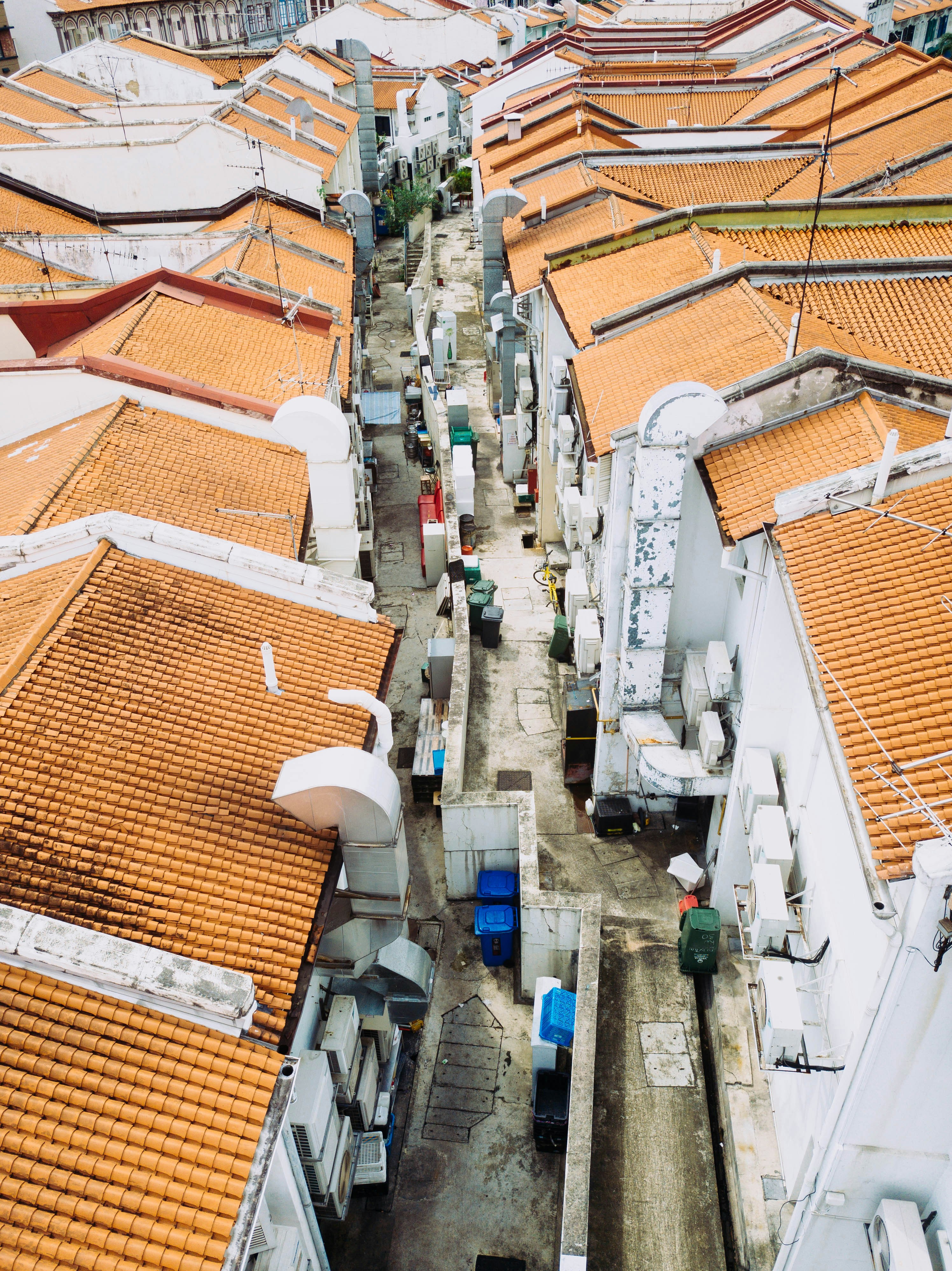 Photo by chuttersnap