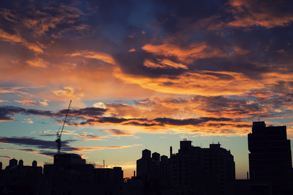 silhouette photography of city building