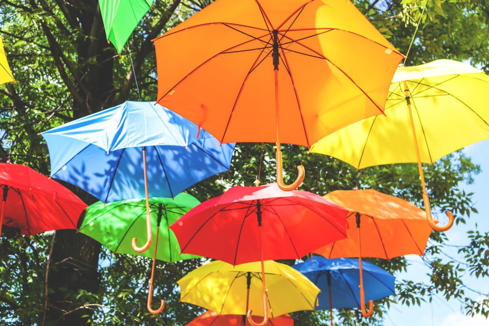 나무 근처에 모듬 된 색상의 매달린 우산