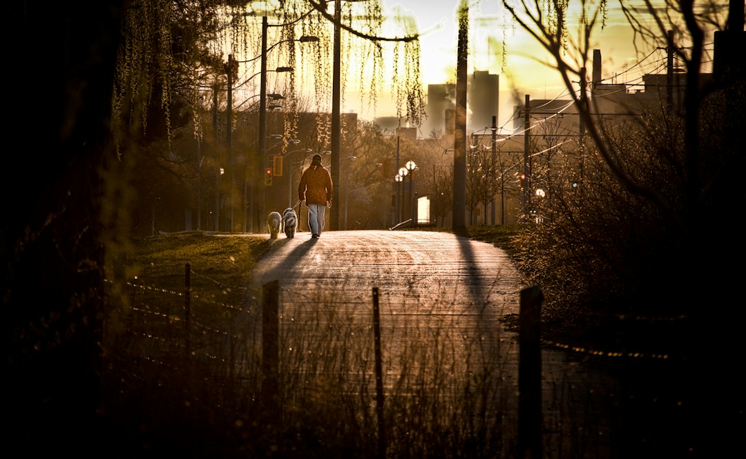 Artistic photography featuring warmth and shadows