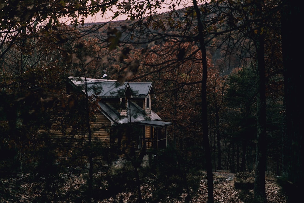 house in forest