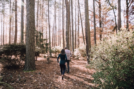 woman and man walking under tall trees in Raleigh United States