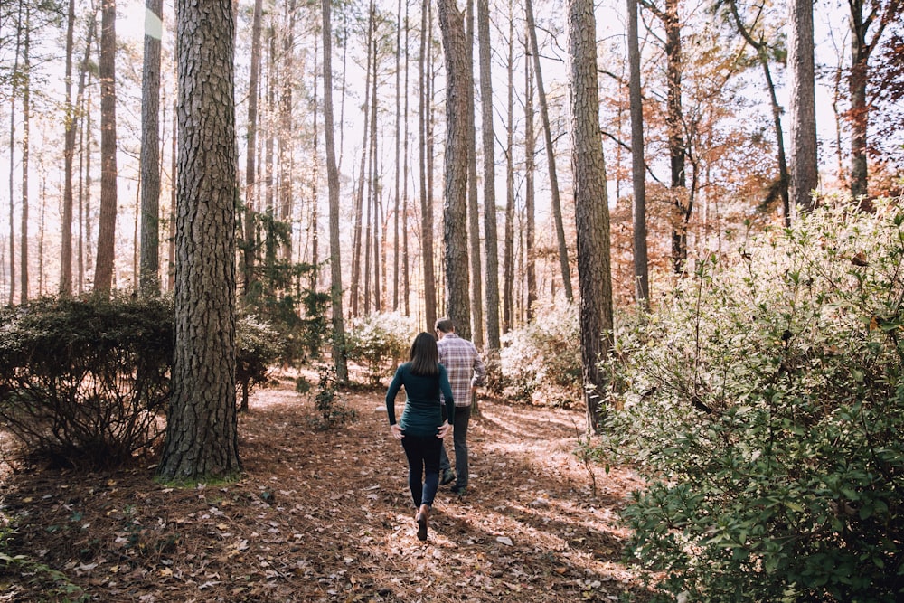 woman and man walking under tall trees