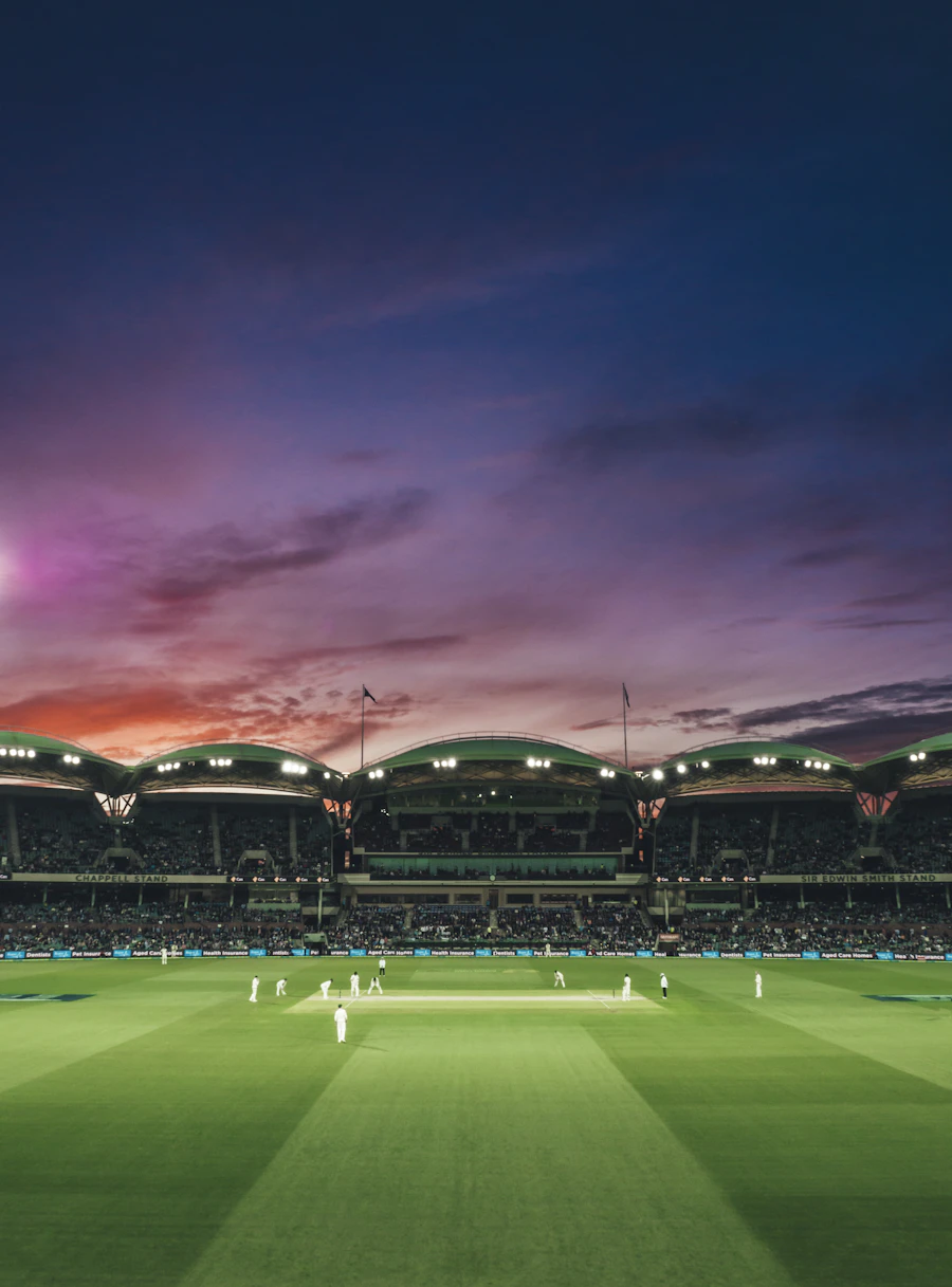 Cricket players on the field