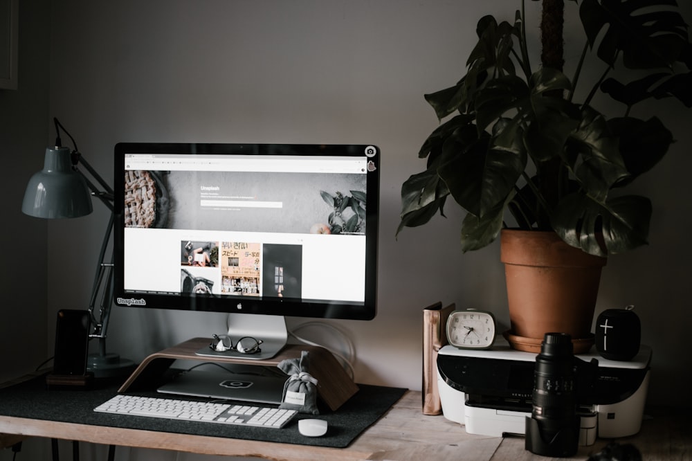 flat screen computer monitor and keyboard beside leafed plant