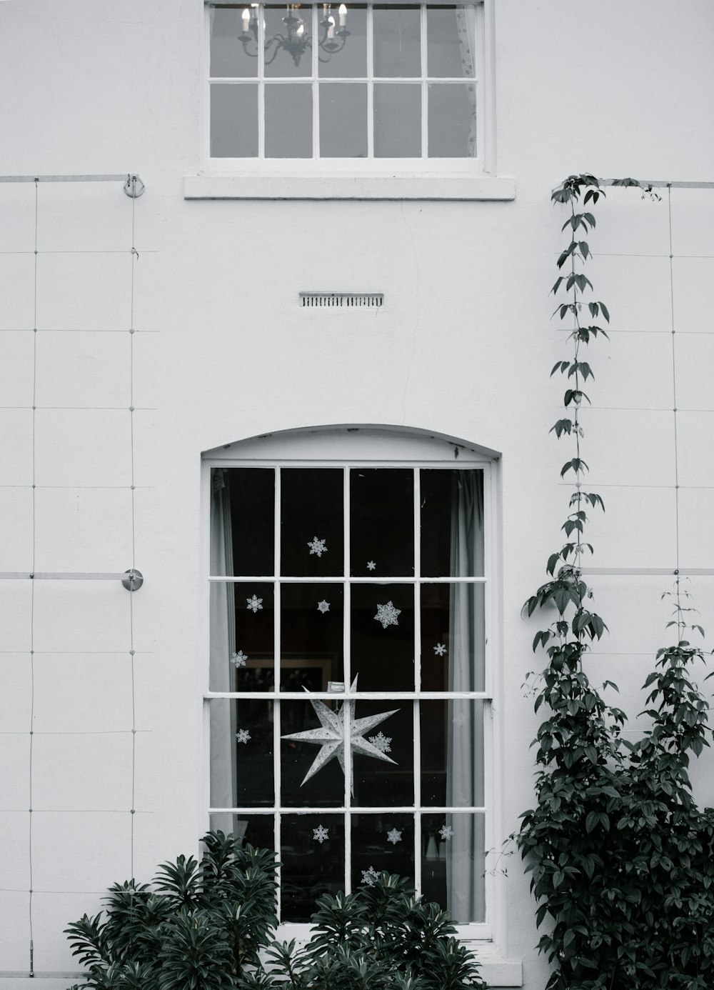 photo of white windowpane beside green leafed trees