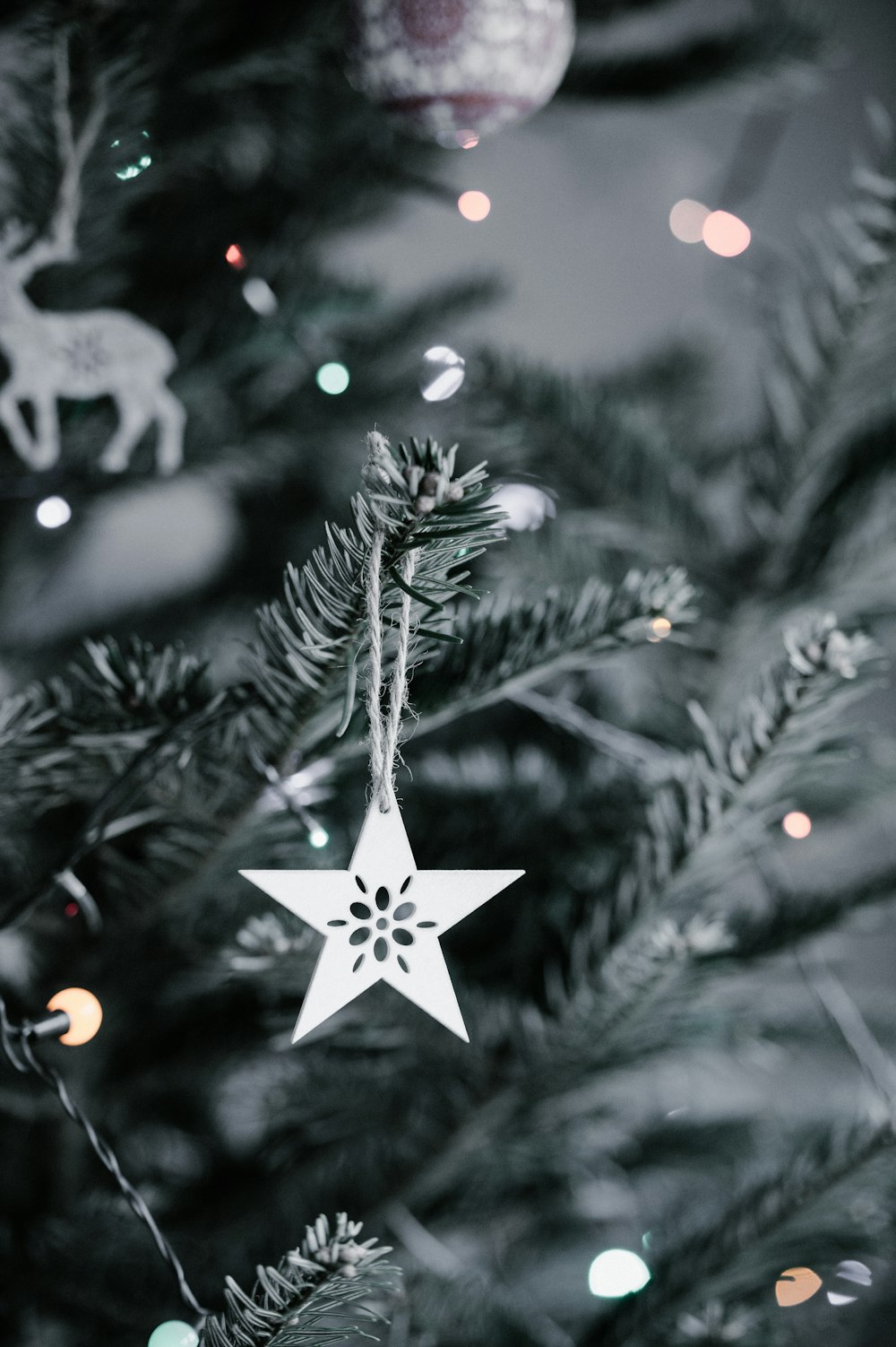 star Christmas ornament hanging in Christmas tree