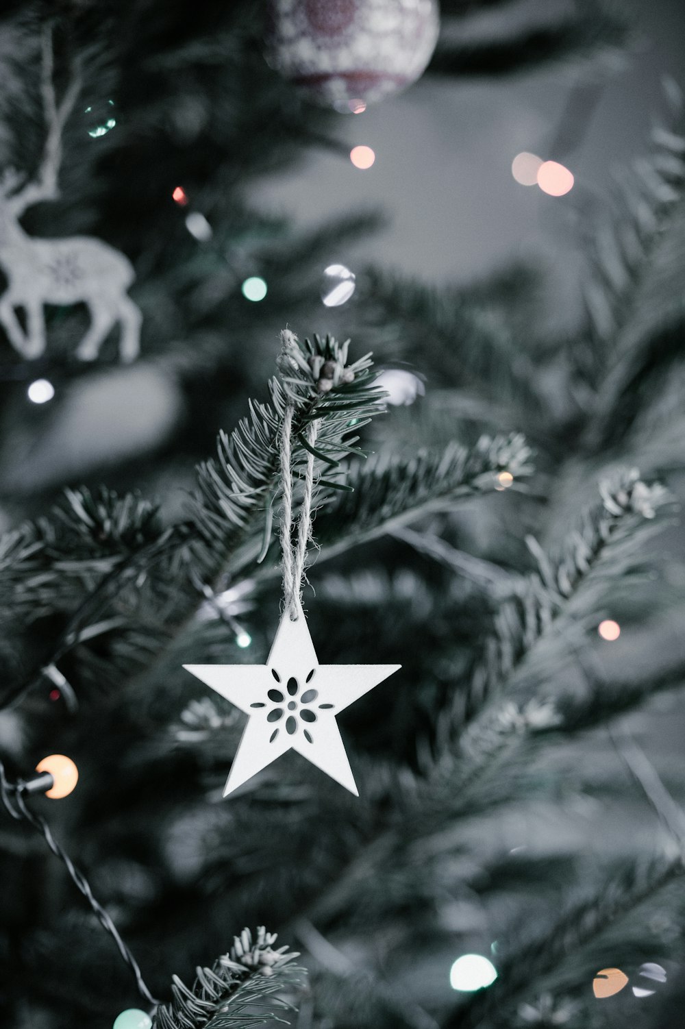 Stern Weihnachtsschmuck hängt im Weihnachtsbaum