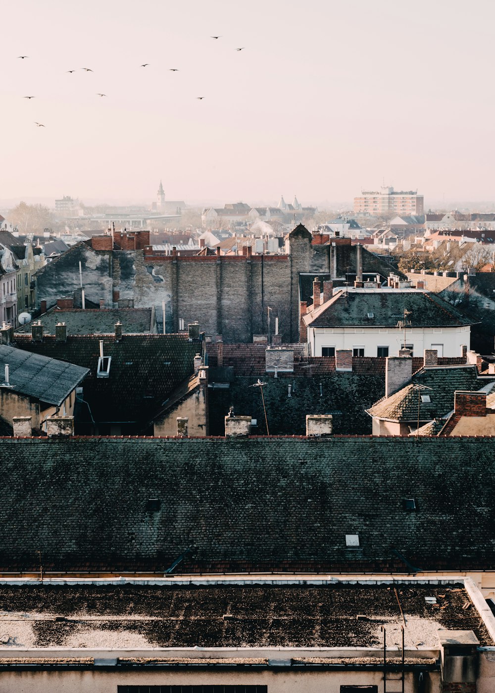 top view photo of houses during daytime