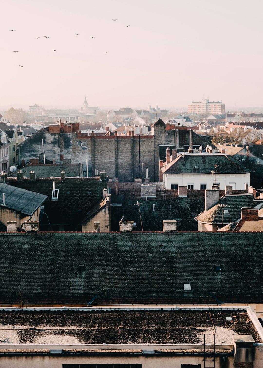 top view photo of houses during daytime