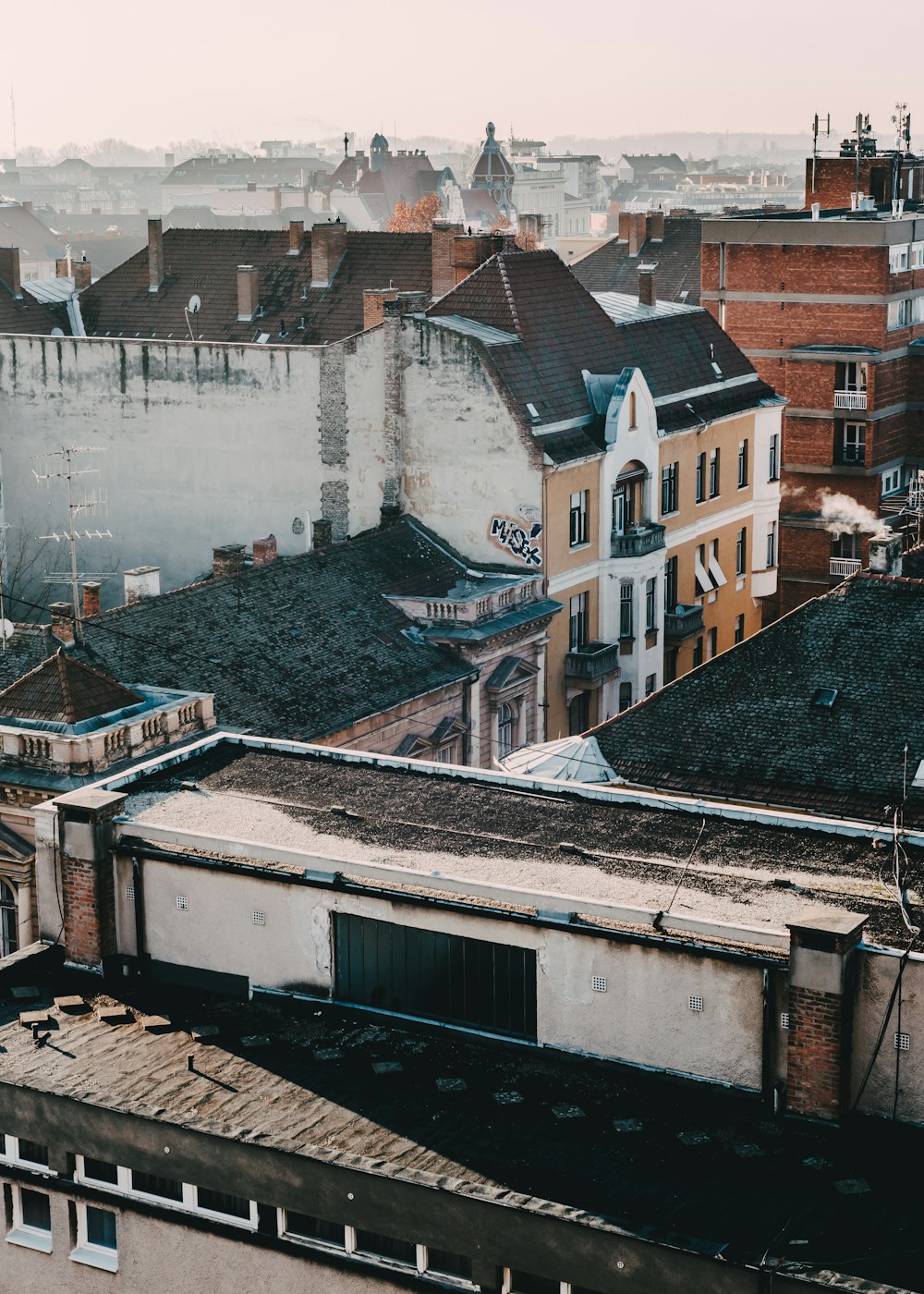 aerial view photography of houses during daytime