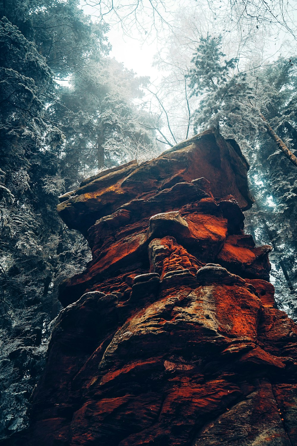 brown rock formation in forest