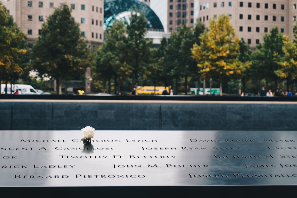 9-11 Memorial Park, New York