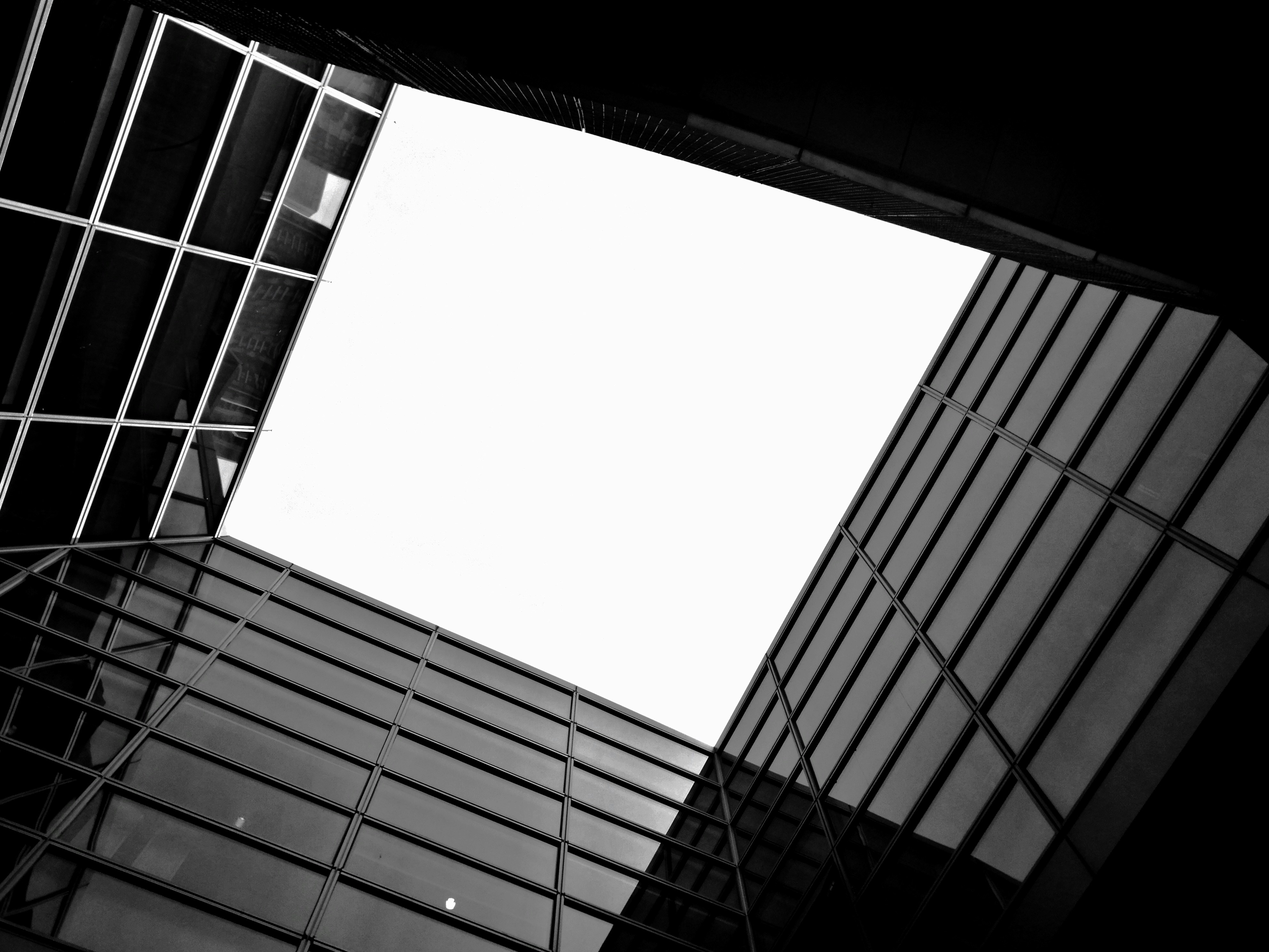 Photo by dandandan0101